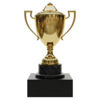 26 Years Experience Award Badge